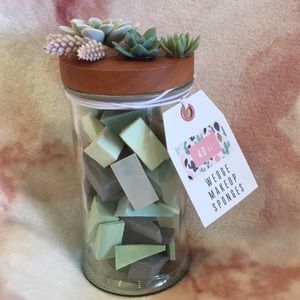 Succulent Cactus Glass Canister Collection 40ct wedge makeup sponges NWT